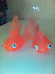 Goldfish from the V & A (Victoria & Albert Museum)